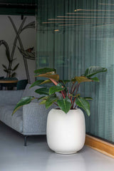 Sphere Elemental - Seidenweiß Finestgreen