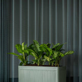 Jort Ionic - Salbeigrün