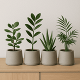 4x Patt Grey Washed Ø:20 L