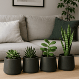 Set of 4 black washed 20cm planters by Pottery Pots arranged on a table, showcasing modern design and texture.