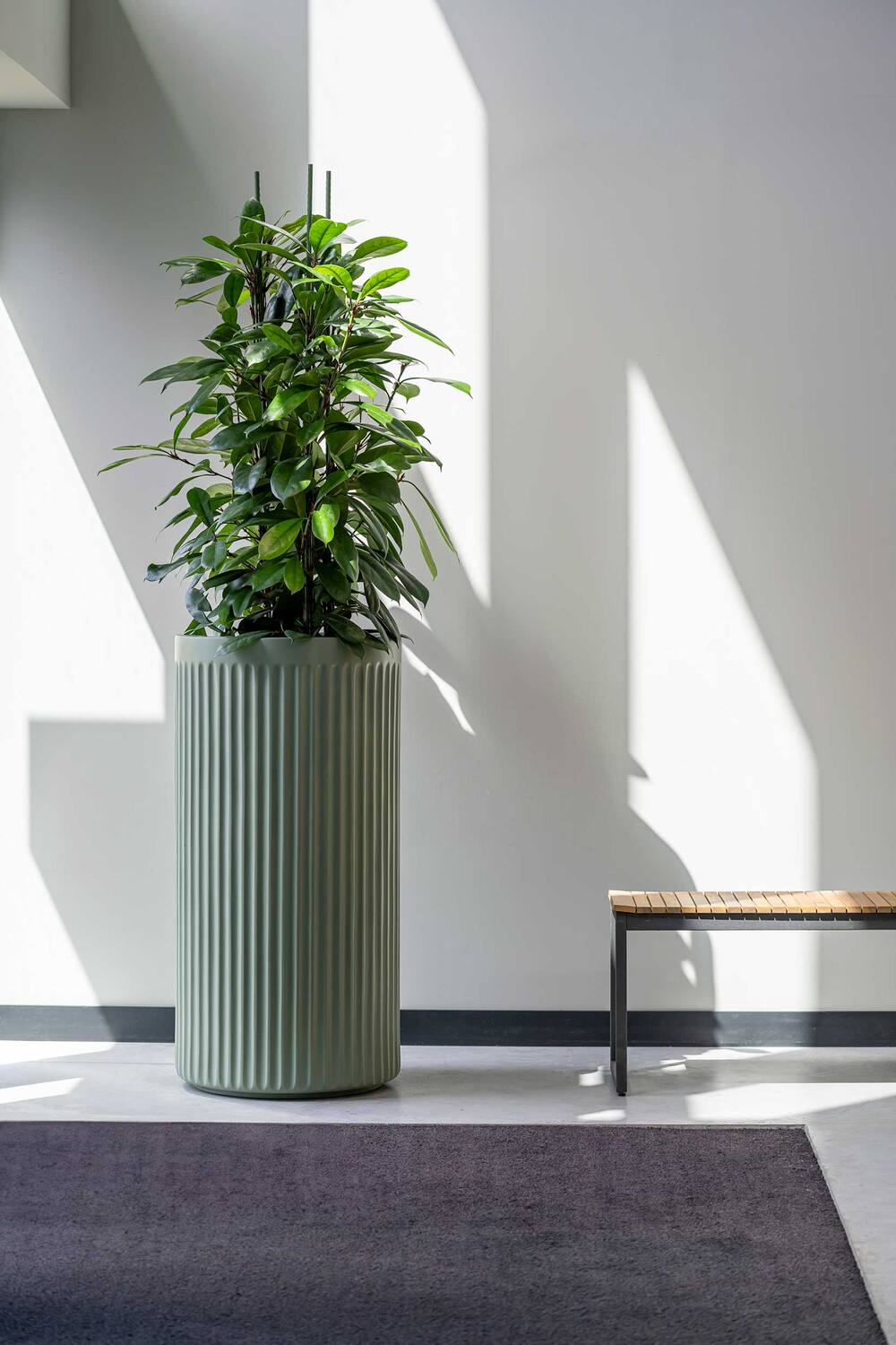 Blumentopf Turris Salbeigrün aus Fiberglas - Wasserdicht