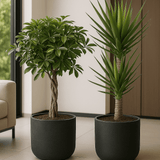 2x Charlie Black Washed Ø:25 L