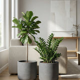 2x Charlie Black Washed Ø:25 cm Finestgreen || Abgebildete Größen: M Ø:25 x H:24 cm