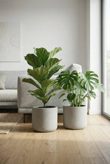 2x Charlie Grey Washed Ø:25 cm Finestgreen