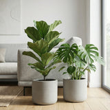 2x Charlie Grey Washed Ø:25 cm Finestgreen || Abgebildete Größen: M Ø:25 x H:24 cm