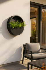 3x Gemischte Farnen Ø:12 H:30 cm