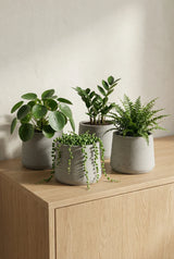 4x Patt Grey Washed Ø:20 Finestgreen