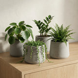 4x Patt Grey Washed Ø:20 Finestgreen || Abgebildete Größen: L Ø:20 x H:16,5 cm