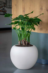 Stream Elemental - Seidenweiß Finestgreen