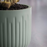 Arcus Ionic - Salbeigrün