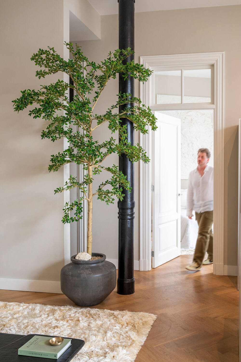 Bucida Buceras Shady Lady künstlich, H:280cm