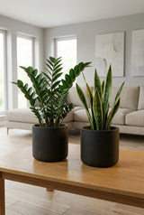 2x Charlie Black Washed Ø:18 cm Finestgreen