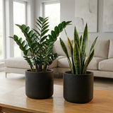 2x Charlie Black Washed Ø:18 cm Finestgreen