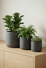 Charlie Black Washed 3er Set Finestgreen