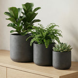 Charlie Black Washed 3er Set Finestgreen || Abgebildete Größen: XS, S & M