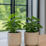 2x Charlie Grey Washed Ø:18 cm Finestgreen