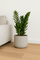 Charlie Grey Washed Finestgreen