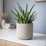 Charlie grey washed planter pot by Pottery Pots, showcasing a textured finish and modern design in a medium size. || Abgebildete Größe: S