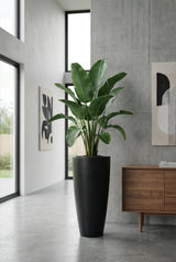 Dax Fiberstone Schwarz Finestgreen