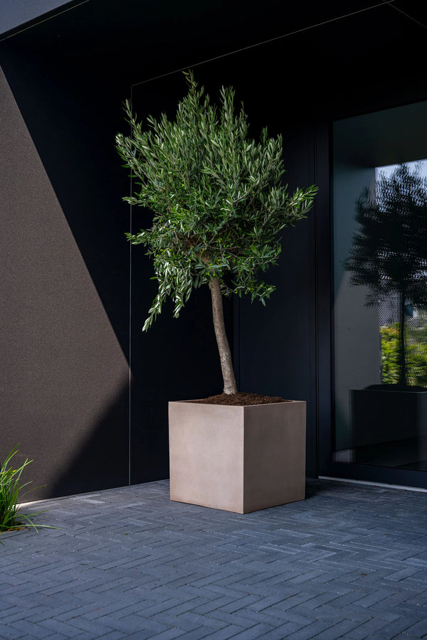 Block Fiberstone Taupe