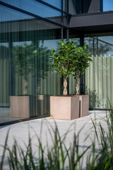 Block Fiberstone Taupe - Finestgreen