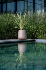 Pax Fiberstone Taupe - Finestgreen