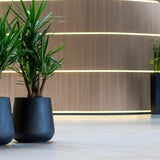 Pax Pflanzkübel Schwarz aus Fiberstone – konisch-bauchiger Kübel