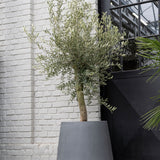 Pax Fiberstone Grau planter by Pottery Pots, showcasing a sleek gray finish and textured surface in a modern design.