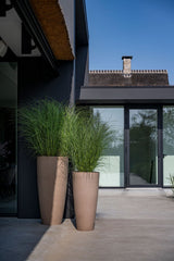 Dax Fiberstone Taupe - Finestgreen