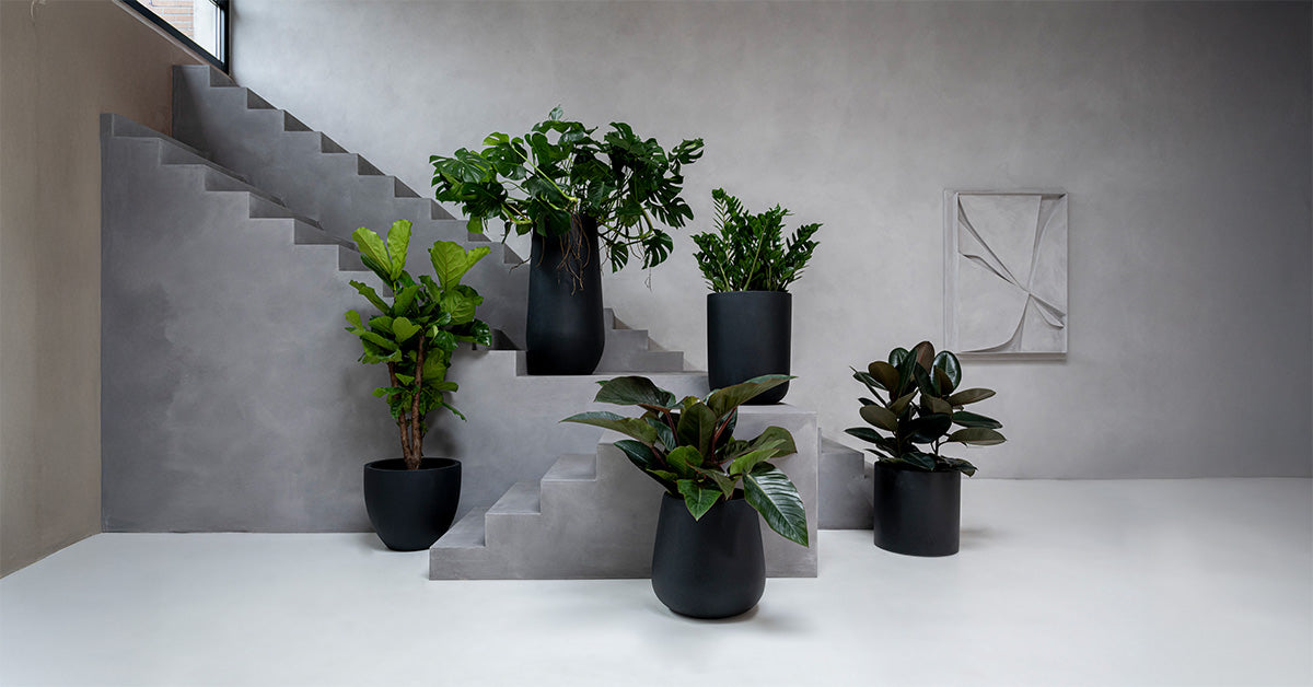 Fiberstone Pflanztopf Schwarz