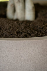 Jesslyn Fiberstone Taupe - Finestgreen