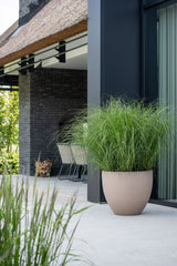 Jesslyn Fiberstone Taupe - Finestgreen