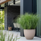Jesslyn Fiberstone Taupe - Finestgreen