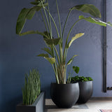 Orb Fiberstone Schwarz Finestgreen