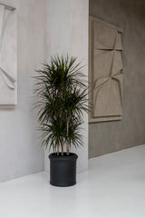Max Classic Schwarz