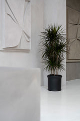Max Classic Schwarz - Finestgreen