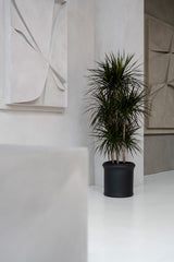 Max Classic Schwarz
