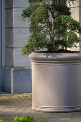 Jumbo Max Classic Taupe