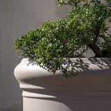 Jumbo Max Classic Taupe