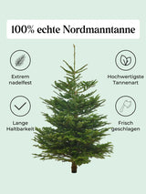 Echte Nordmanntanne 125–150 cm – Premium Weihnachtsbaum