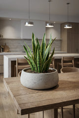 Eileen Grey Washed Finestgreen