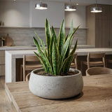 Eileen Grey Washed Finestgreen