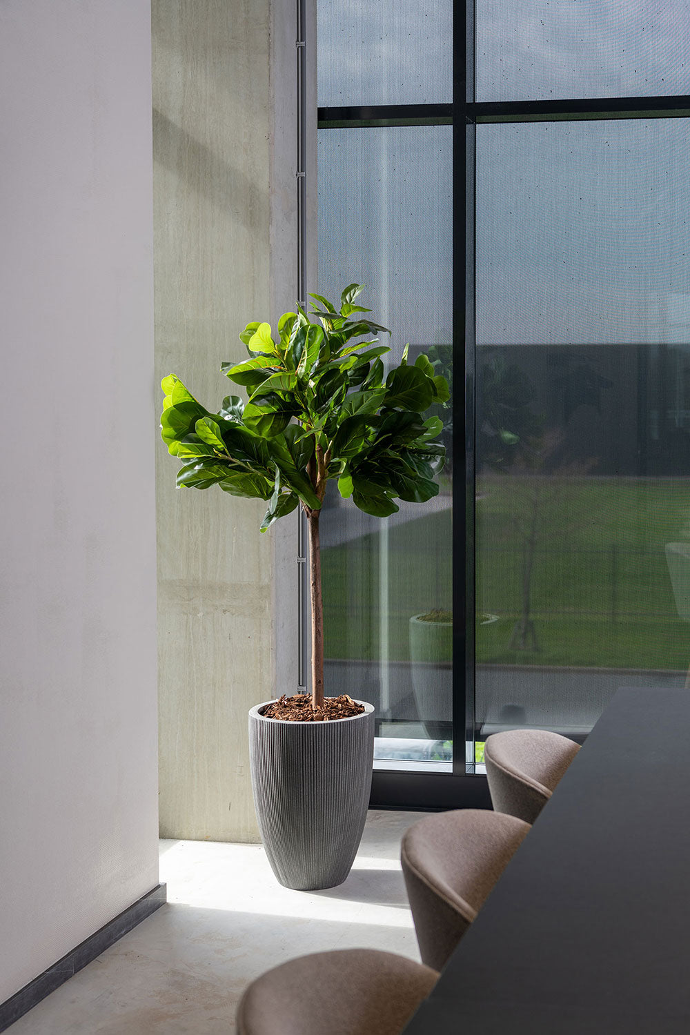 Ficus Lyrata Geigenfeige Künstlich - Künstliche Pflanzen