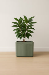 Block Ionic - Salbeigrün