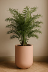 Zenith Elemental - Puderrosa