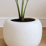 Sphere Low Elemental - Seidenweiß