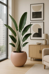 Stream Elemental - Puderrosa Finestgreen