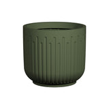 Arcus Ionic - Salbeigrün