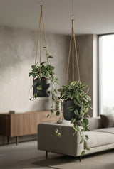 Hanging Charlie Schwarz Finestgreen