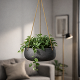 Hanging Eileen Schwarz Finestgreen